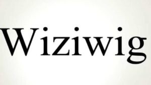 The WiZiWiG