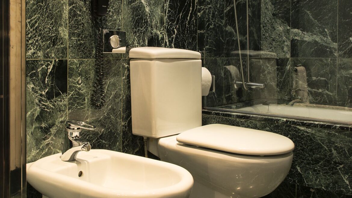 Why Does a Washlet Matter in a Dunny?